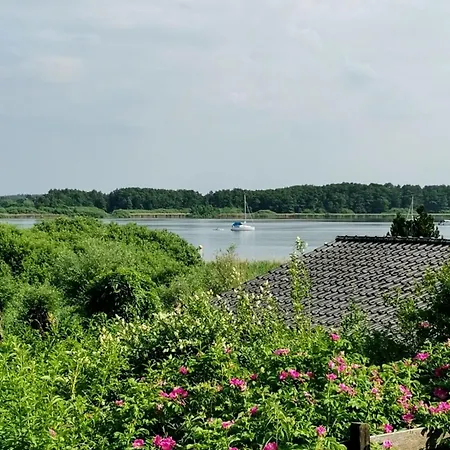 Blick Auf Mueritz Sietow
